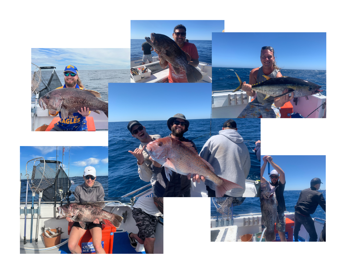 Mindarie Charters New Collage - scaled